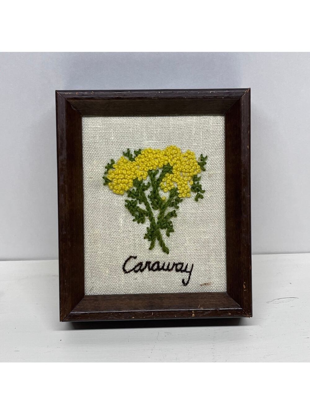 Vintage Framed Embroidery Caraway Botanical